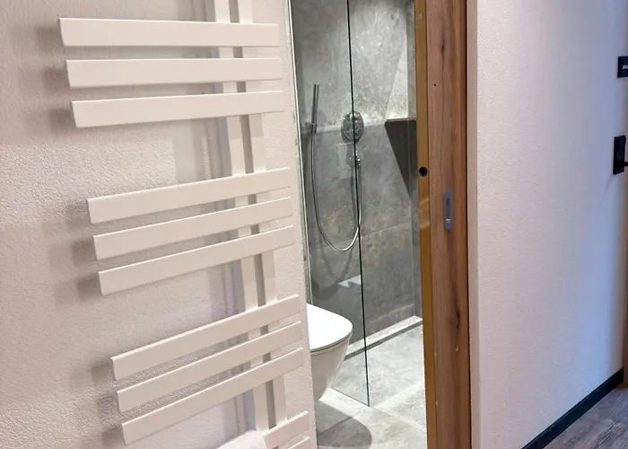 Hotel First Mountain Zillertal 3*